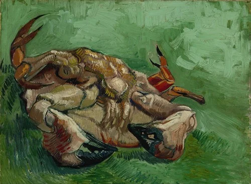 A crab on its back (1888)