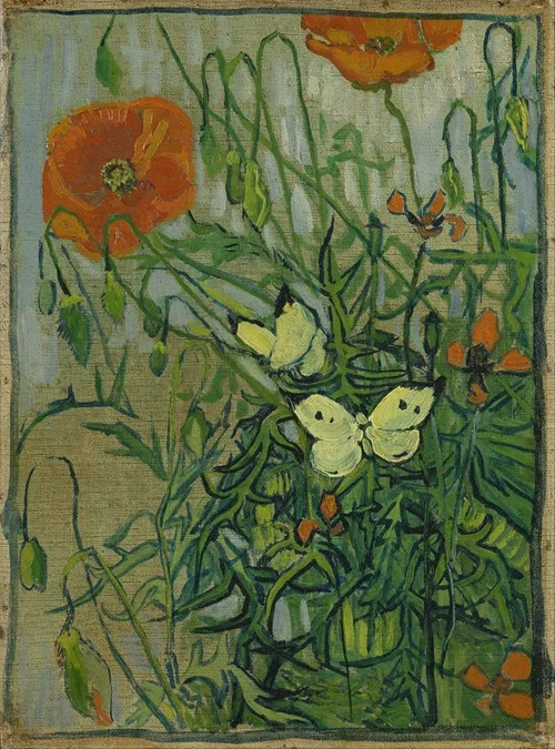 Butterflies and poppies (1890)