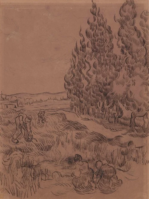 Cypresses with four people working in the field (1889)