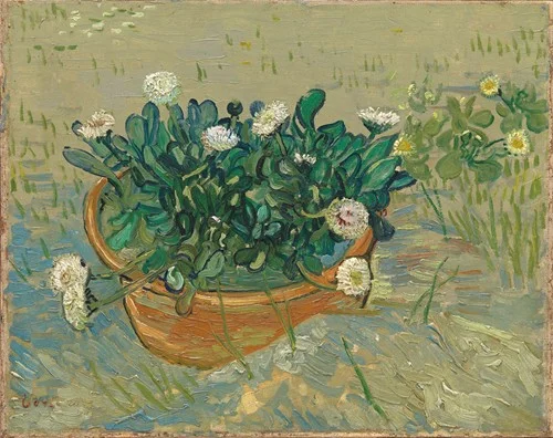 Daisies, Arles (1888)