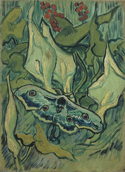 Emperor moth (1889)