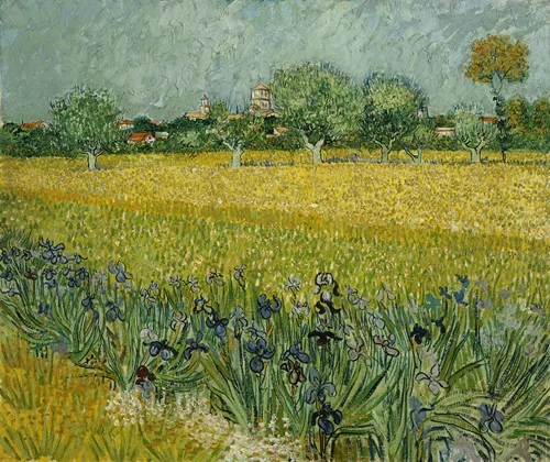 Field with flowers near Arles (1888)