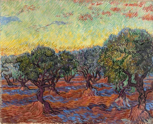 Olive Grove, Saint-Rémy (1889)