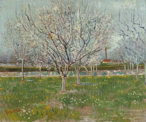 Orchard in Blossom (Plum Trees)