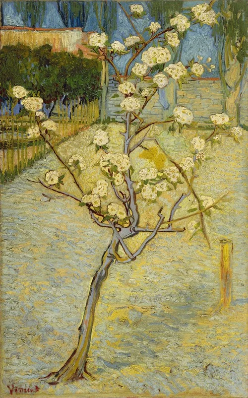 Small pear tree in blossom (1888)