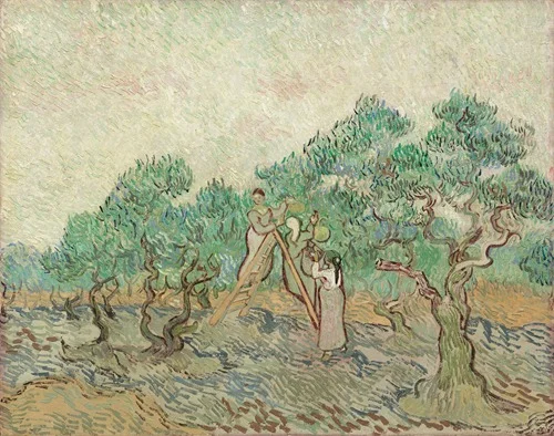 The Olive Orchard (1889)