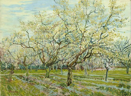 The white orchard (1888)