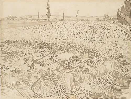 Wheat Field (1888)
