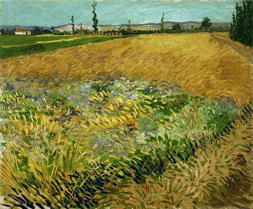 Wheatfield (1888)