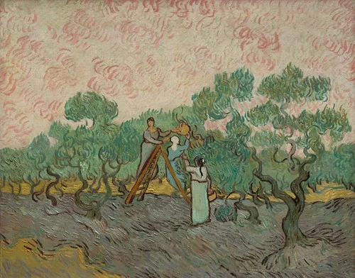 Women Picking Olives (1889)